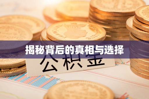 紫云揭秘背后的真相与选择