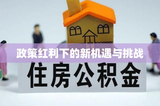 紫云政策红利下的新机遇与挑战