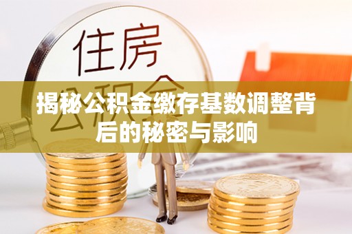 紫云揭秘公积金缴存基数调整背后的秘密与影响