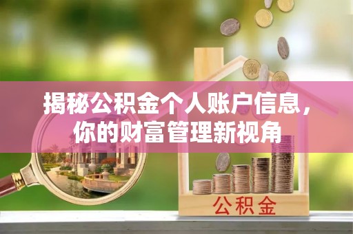 紫云揭秘公积金个人账户信息，你的财富管理新视角