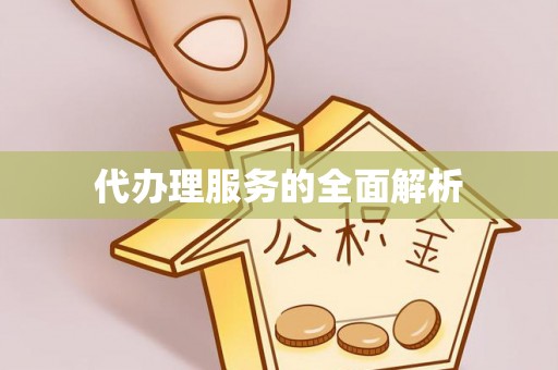 紫云代办理服务的全面解析
