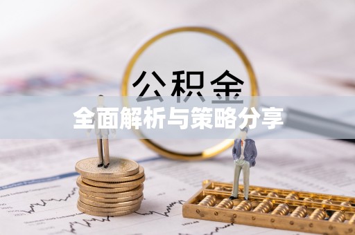 紫云全面解析与策略分享