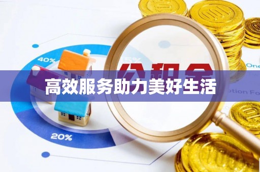 紫云高效服务助力美好生活