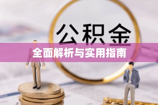 紫云全面解析与实用指南