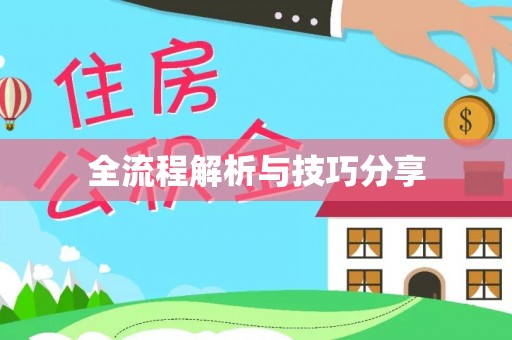 紫云全流程解析与技巧分享